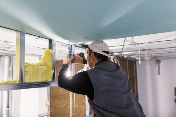 Insulation Replacement Services in Fort Rucker, AL